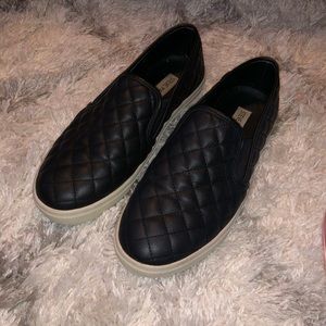 Steve Madden Shoes